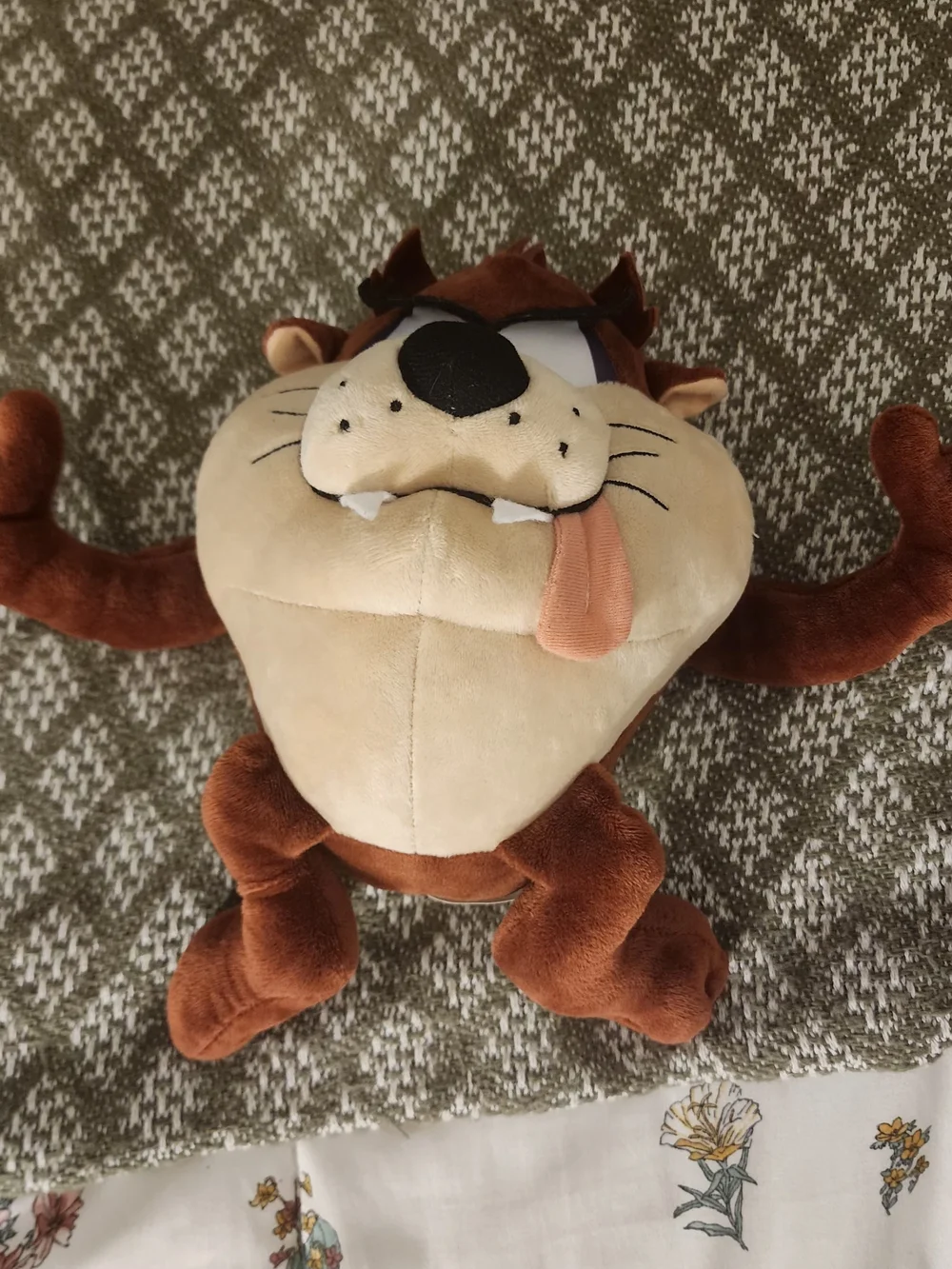 Looney Tunes Taz Plush Toy